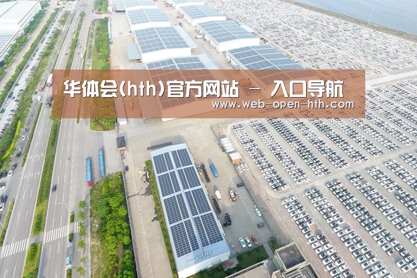 案例展示一