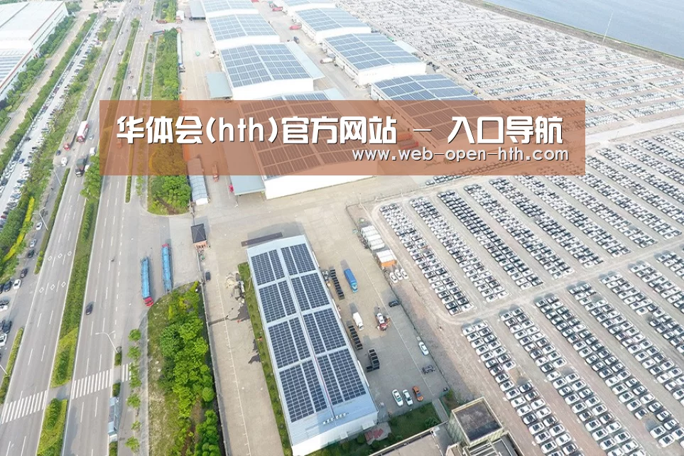 案例展示三