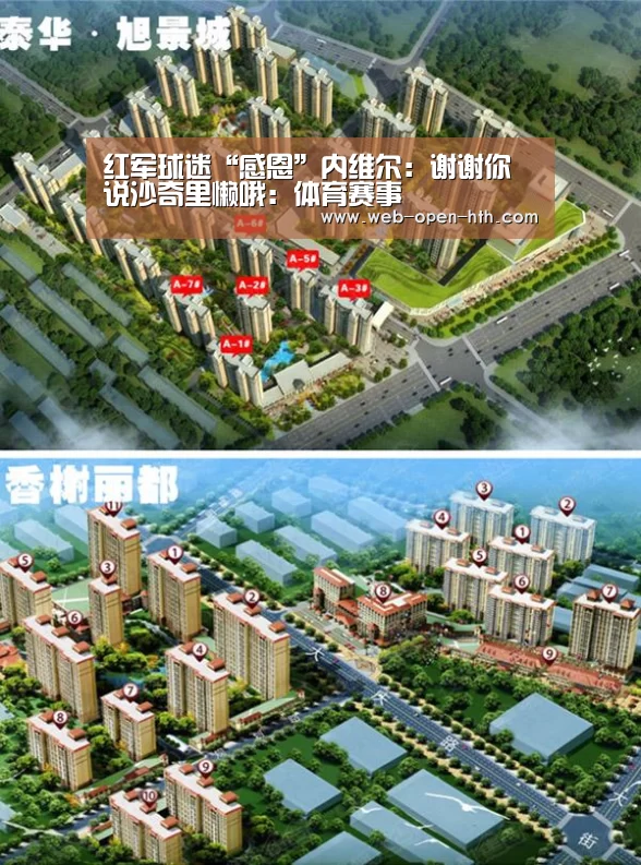 体育赛事